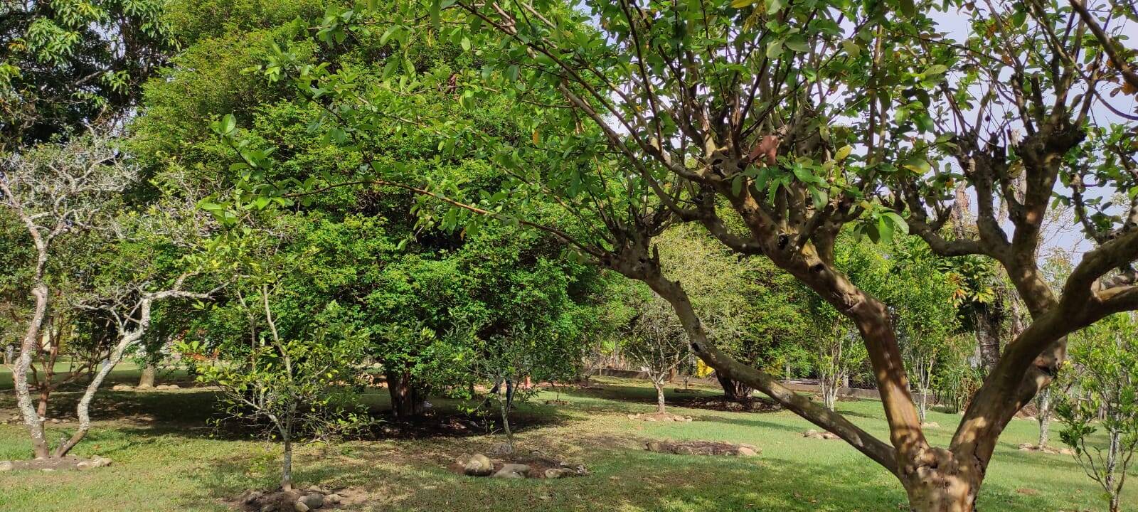 Chácara à venda com 5 quartos, 4032m² - Foto 122