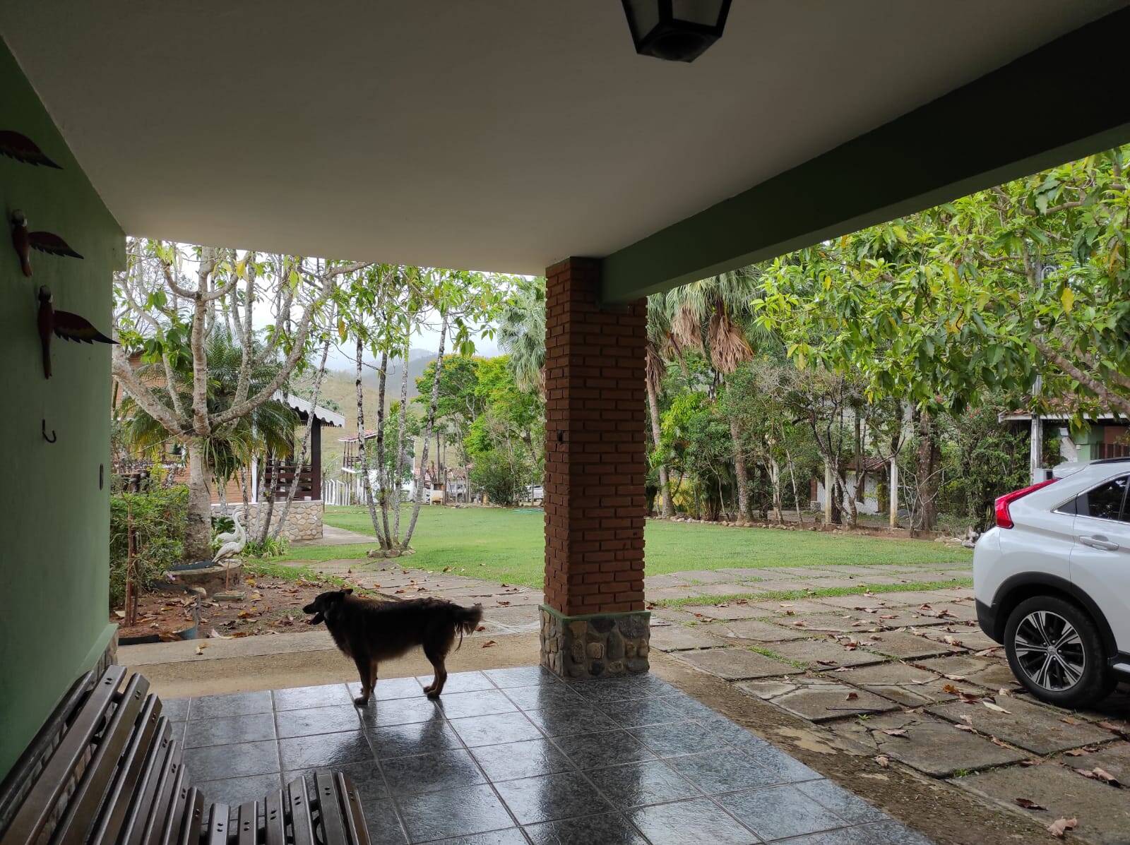 Chácara à venda com 5 quartos, 4032m² - Foto 133