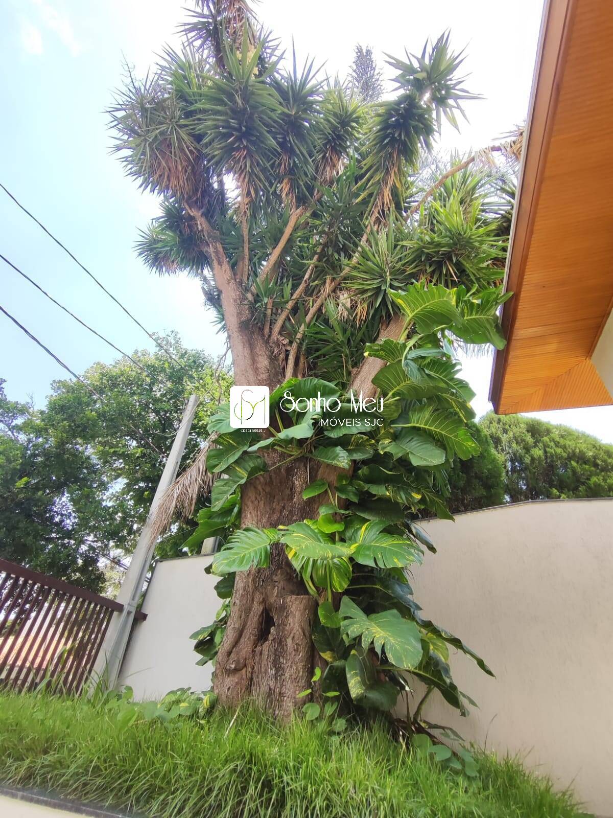 Casa para alugar com 4 quartos, 225m² - Foto 3